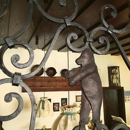 Gasthof-pension Schwarzer Baer 3* Waidhofen an der Ybbs